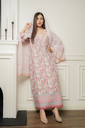 DSC08383.webp