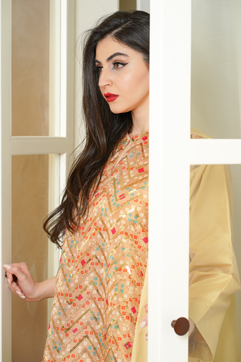 Gold Indian silk Dress 